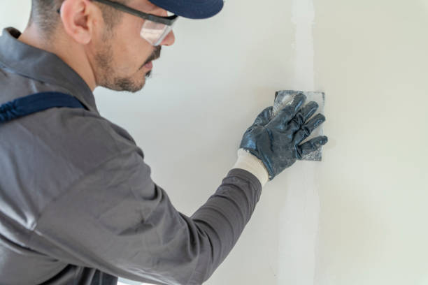 Best Drywall Sanding and Smoothing  in Brookside, NJ