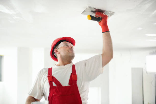 Best Drywall Installation  in Brookside, NJ