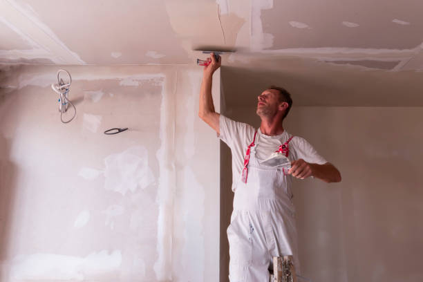 Best Drywall Texturing  in Brookside, NJ